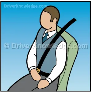 Seat belt reduces the chance of being thrown from your vehicle 